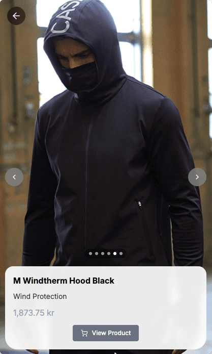 AI assistant answering product detail questions in chat