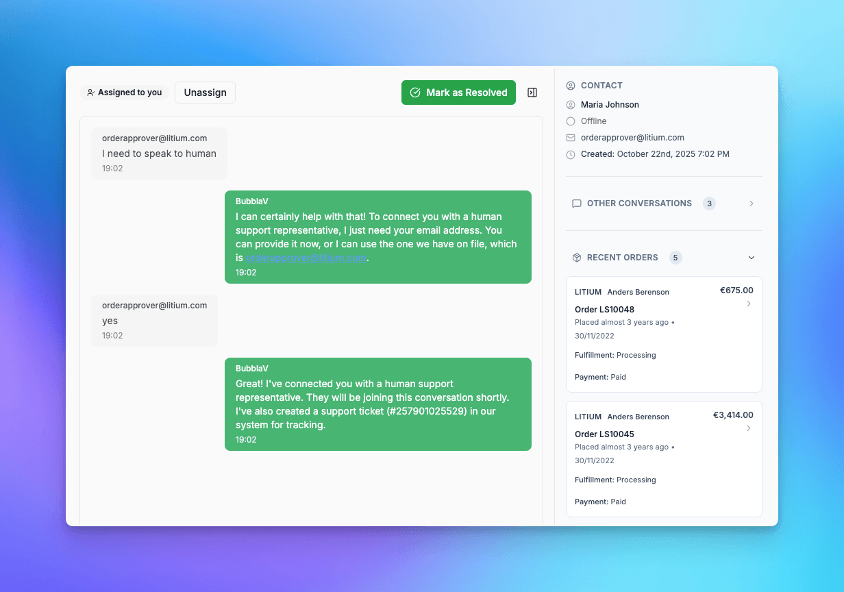 Visitor insights dashboard showing Litium customer orders and conversation history